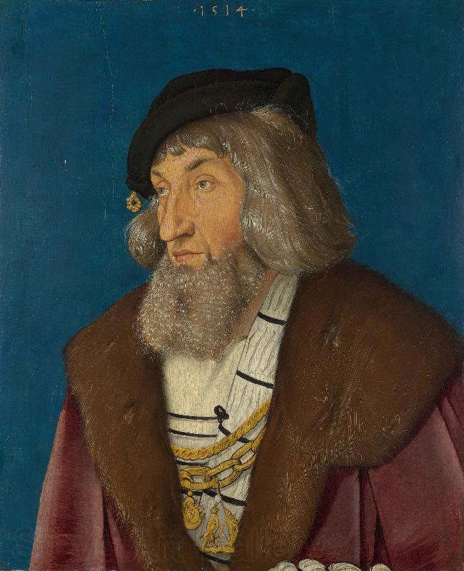 Hans Baldung Grien Portrait of a Man Spain oil painting art